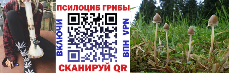 кракен ссылки  Няндома  Галлюциногенные грибы Cubensis 